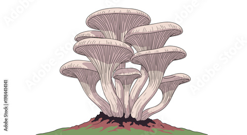 Detailed illustration of a large cluster of mushrooms with wide caps growing from a small patch of green grass.