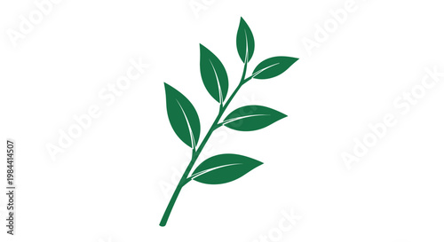 Green leafy plant stem with leaves.