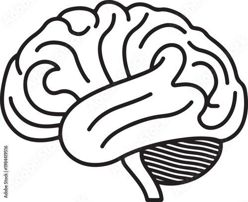 A simple illustration of the human brain viewed from the left side