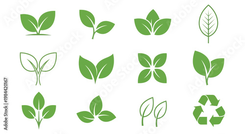 Set of stylized green leaf icons and eco-friendly symbols, ideal for natural branding, organic products, sustainable design, and environmental projects, reflecting growth and renewal