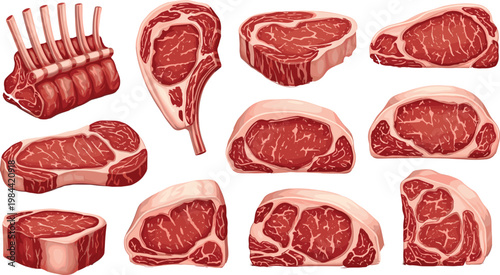 Fresh Raw Beef and Lamb Meat Cut Collection with Steak Ribeye Rack and Chop Isolated on White Background Vector Illustration