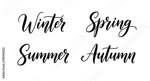 Artistic hand-lettered collection representing the distinct beauty and changes across the four natural seasons, conveying seasonal transitions with elegant typography
