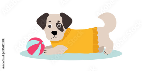 Cute little dog with a ball in a yellow blouse, lying down playing, comical pets on the street, for funny vector stickers