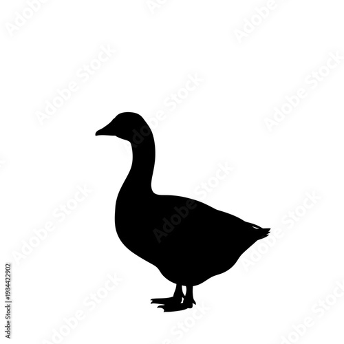 Goose bird silhouette standing profile vector illustration