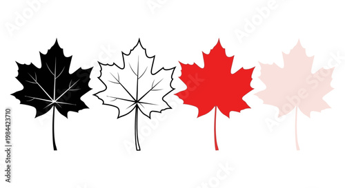 Four maple leaves in different colors and styles on a white background