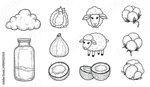 Black and white hand drawn natural elements collection featuring fluffy sheep cotton fruit cloud and coconut perfect for organic product packaging or educational material