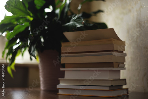 A stack of books and a flowerpot on a table. Modern interior