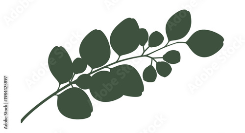 Dark green leafy plant branch stem.