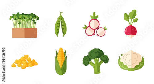 Fresh Assorted Vegetables and Greens Illustration