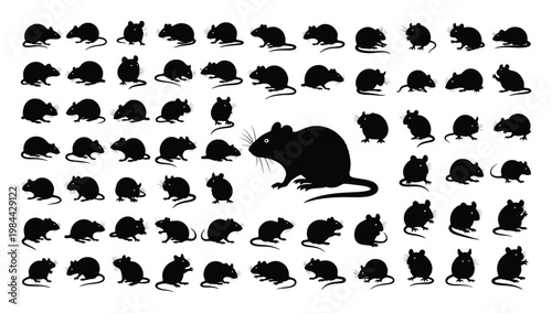 Collection of numerous dark rodent silhouettes showcasing various natural poses and movements, ideal for educational resources, animal symbolism, or wildlife awareness campaigns
