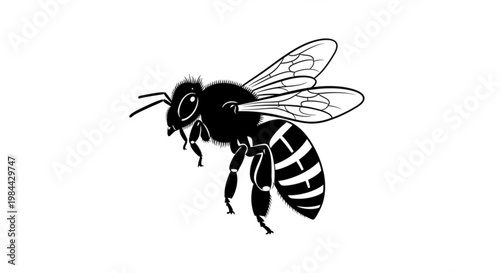 Yellow and black bee vector illustration in closeup style isolated on white background with detailed wings and natural elements