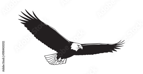 A bald eagle in flight with its wings spread wide