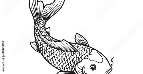 A black and white drawing of a koi fish