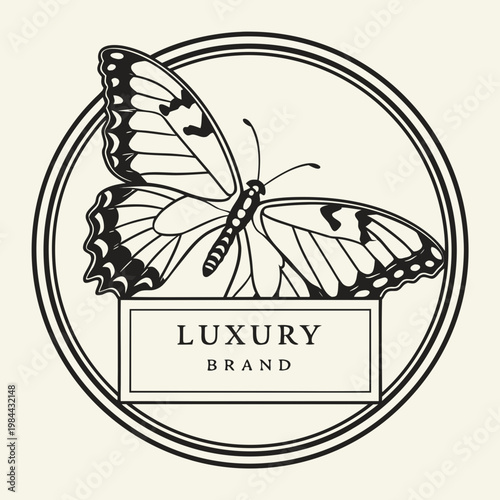 vector illustration of a butterfly