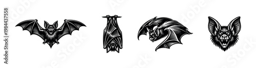 Realistic black and white bat illustrations set, gothic style, vector, silhouette elements