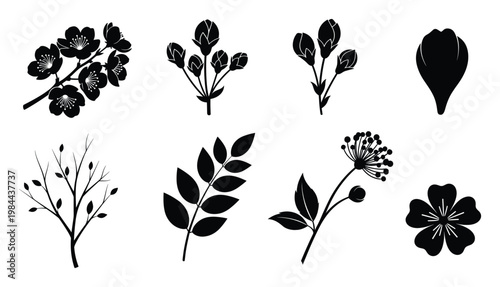 Stylized black botanical silhouettes including flowering branches, delicate flower buds, natural leaves, and blooming flora perfect for decorative plant designs and gardenthemed graphics