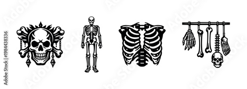 Skull and skeleton vector art with bones and ribcage illustrations in black and white