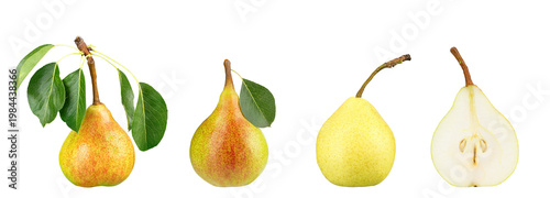 Fresh pear isolated on white background, whole and cut fruit with leaves