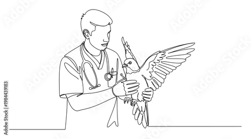 Male veterinarian wearing medical scrubs and a stethoscope meticulously examines a bird with outstretched wings, perfect for animal welfare, veterinary education, and pet healthcare