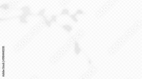 Blurred tree twig foliage shadow overlay isolated on transparent background.