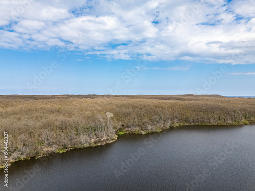 Demirkoy Wetland River Flowing Through Dry Reeds in Turkiye