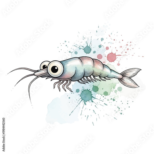 Colorful shrimp with large eyes illustration.