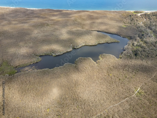 Aerial View of Demirkoy Forest and Woodland Pond in Kirklareli, Turkiye
