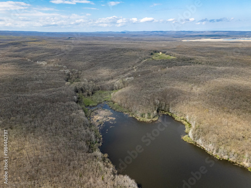 Aerial View of Demirkoy Forest and Woodland Pond in Kirklareli, Turkiye