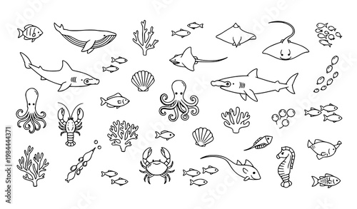 Hand Drawn Ocean Animal Outline Icons Set Minimal Marine Life Vector Collection for Aquarium and Educational Design