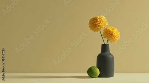 Two yellow pom pom flowers in a dark grey vase with a lime on soft beige background, simple and fresh.