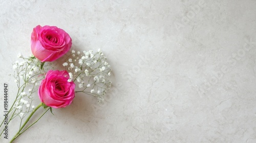 Pink roses with white baby's breath on light gray textured background, elegant simple composition with ample whitespace.