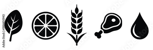 Nutritional food group icons for a balanced diet representing various healthy ingredients essential for wellness and meal planning applications