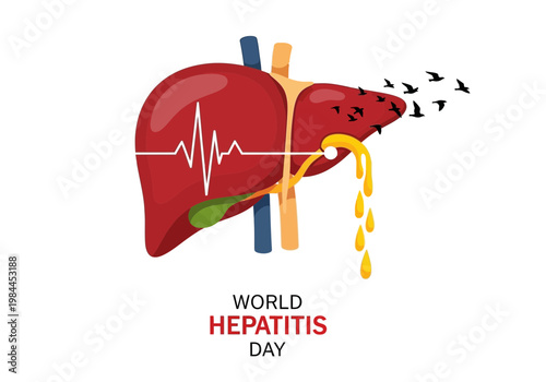 World hepatitis day awareness illustration with liver and heartbeat
