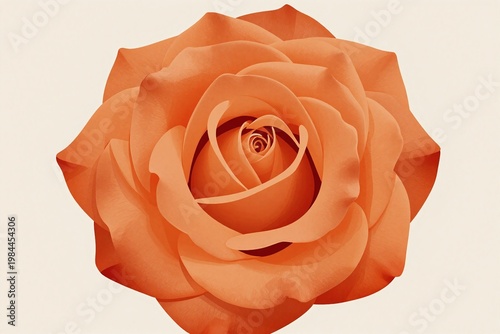 An orange and white swirl design on a beige background