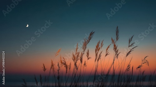 Silhouette of reeds swaying in twilight under a crescent moon, orange purple gradient sky.