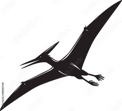 Flying Pterosaur Silhouette Ancient Prehistoric Creature Symbol