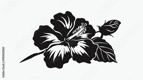 Black and white hibiscus flower illustration on white background