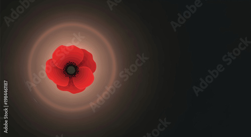 Red poppy flower on dark background, remembrance day symbol with glowing halo, memorial floral vector illustration for veterans day