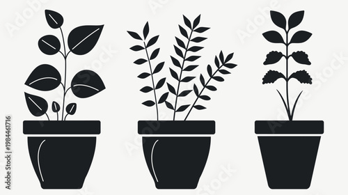 Black and white vector illustration of potted plants for design and decor