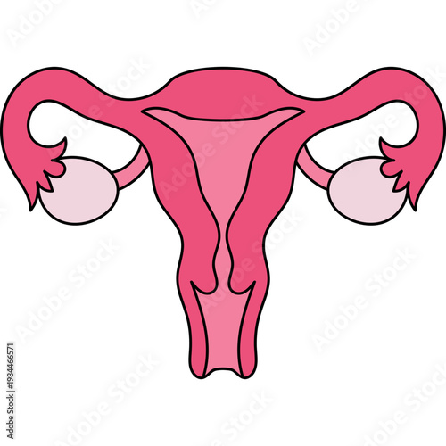 Female Reproductive System Icon