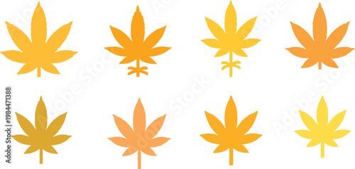 Yellow orange cannabis leaf marijuana shapes set for autumn concept