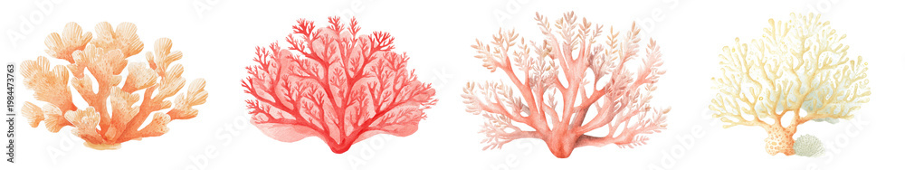 Fototapeta premium Watercolor illustration set of coral reef elements, hand painted branching and fan corals in soft pastel colors, detailed marine decorations isolated on white background