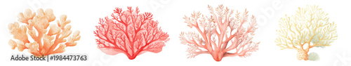 Watercolor illustration set of coral reef elements, hand painted branching and fan corals in soft pastel colors, detailed marine decorations isolated on white background
