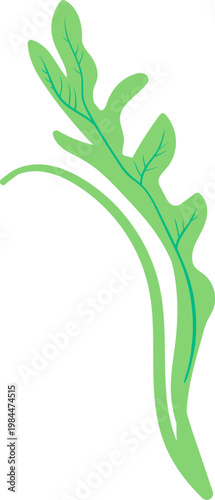 Arugula Leaf Sprig Line Art