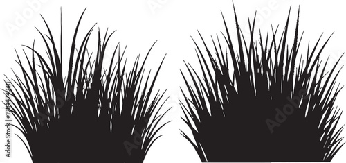 Two black silhouettes of bushy plants in square pots minimalist botanical illustration