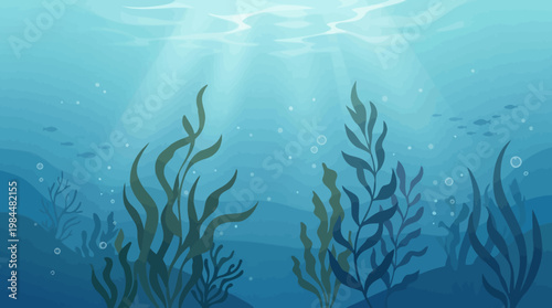 coral reef in the sea