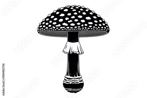 Photos A black and white illustration of a mushroom with a spotted cap and stem