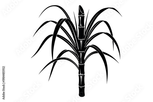 A black silhouette illustration of a sugarcane plant with long leaves and a tall stem against a white background for graphic design or educational use