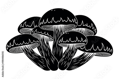 A cluster of dark capped mushrooms with thick stems and detailed caps