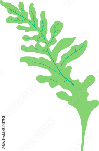 Arugula Leaf Herb Silhouette